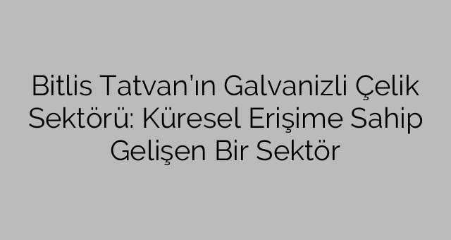 Bitlis Tatvan’ın Galvanizli Çelik Sektörü: Küresel Erişime Sahip Gelişen Bir Sektör