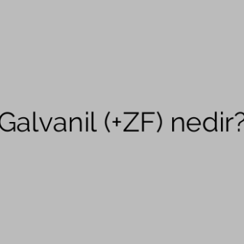 Попередній великий палець